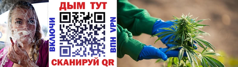 Купить закладки  Каменногорск  Шишки марихуана Bruce Banner 